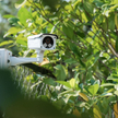 Kamera monitoringu może zerkać na posesję sąsiada - wyrok Sądu Najwyższego