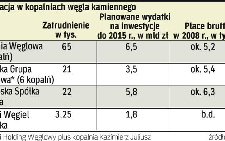 Mimo kryzysu i wprowadzanych cięć kopalnie węgla kamiennego nie zamierzają ograniczać inwestycji. Na