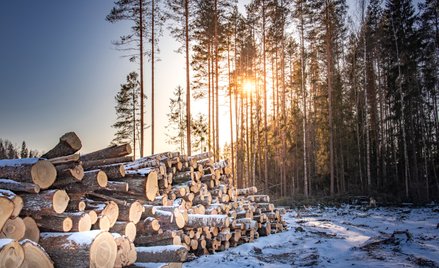 Naukowcy prawdopodobnie znaleźli sposób na pozyskiwanie i magazynowanie energii słonecznej, co pozwa