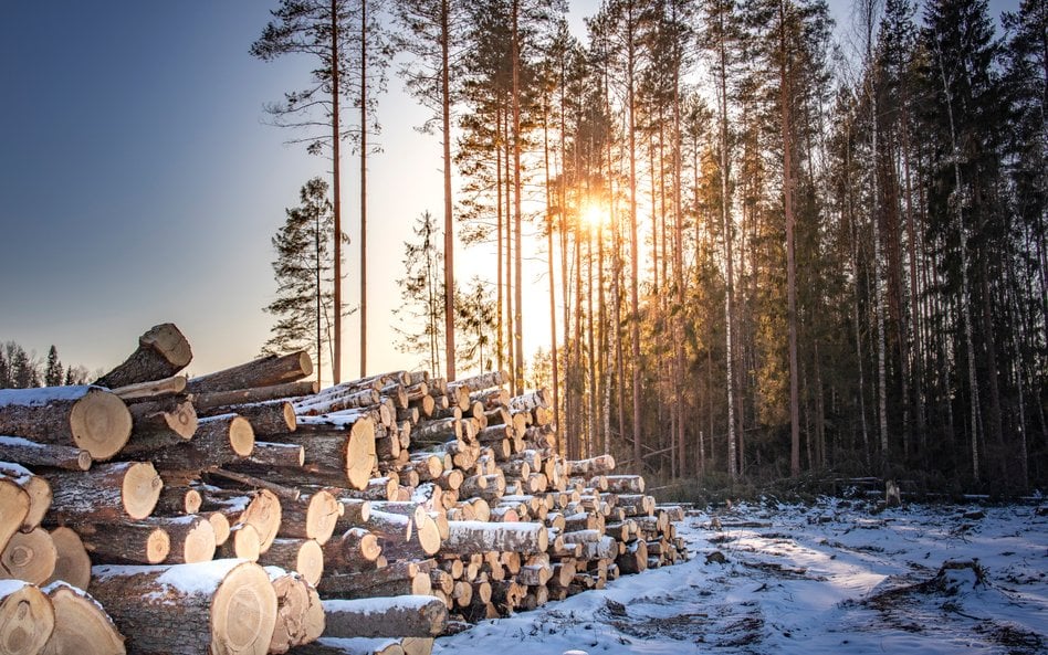 Naukowcy prawdopodobnie znaleźli sposób na pozyskiwanie i magazynowanie energii słonecznej, co pozwa