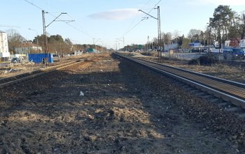 Usunięto w sumie ok. 19 tysięcy drzew i krzewów o różnej średnicy pni – głównie samosiejek. Tak pods