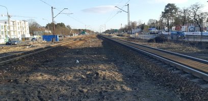 Usunięto w sumie ok. 19 tysięcy drzew i krzewów o różnej średnicy pni – głównie samosiejek. Tak pods