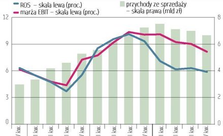 Oprogramowanie i usługi informatyczne: Sektor rozczarował