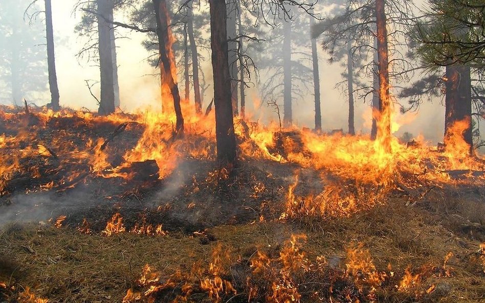 Rosja: możliwy wybuch „ekologicznego Czarnobyla”