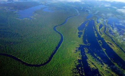 Satelita wskazał źródła Amazonki