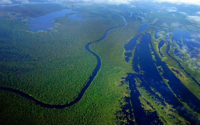 Satelita wskazał źródła Amazonki