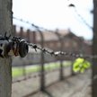 Turyści przed sądem za okradanie Auschwitz