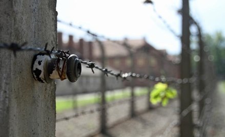 Turyści przed sądem za okradanie Auschwitz
