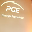 Gdzie PGE ulokuje atom?