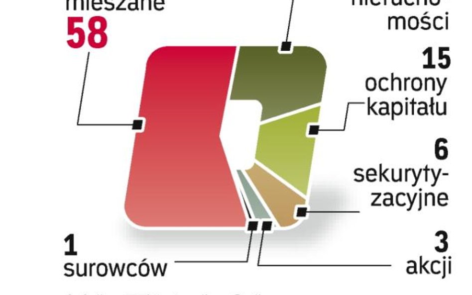 Ponad połowa fiz to fundusze mieszane