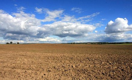 Ziemia w cenie, ale nie dla rolników