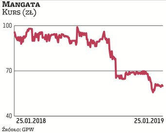 Produkty Mangata Holding sprzedawane są do ponad 70 krajów, w tym do Niemiec, Rosji, USA, i trafiają