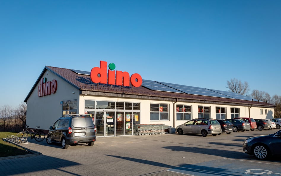 W I kwartale br. Dino otworzyło 58 sklepów i na koniec marca prowadziło 2746 marketów. Fot. AdobeSto