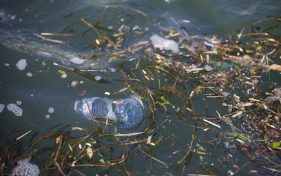 Nowy sposób na zalew plastikowych śmieci. Można je zjeść