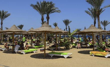 Pięć procent więcej klientów w samolotach biur podróży