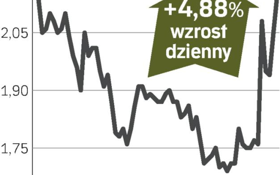 Spekulanci szukają okazji do zysku