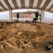 Mamut neandertalczyków