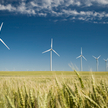 Rząd przyjął w końcu projekt nowelizacji ustawy o inwestycjach w elektrownie wiatrowe