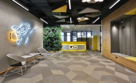 Tim: 35 mln zł za Rotopino