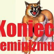 Filipika przeciwko feministkom