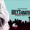 Chirurdzy (Greys Anatomy) – ABC