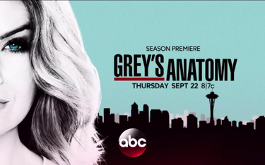 Chirurdzy (Greys Anatomy) – ABC