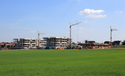Janiszewski: Oto patent na przyspieszenie budownictwa mieszkaniowego