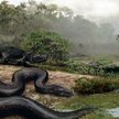 Titanoboa cerrejonensis to największy gad, jaki kiedykolwiek pełzał po Ziemi. Tak artysta wyobraża s