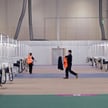 Kolejnych 180 zgonów z powodu koronawirusa w Wielkiej Brytanii