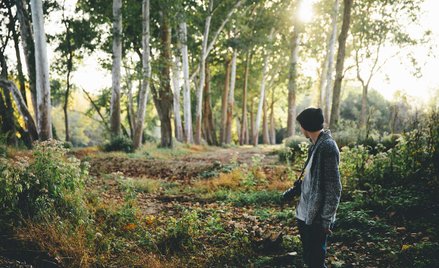 Zdaniem ekspertów z amerykańskiego uniwersytetu Penn State zmiany klimatu zaburzają naturalny proces