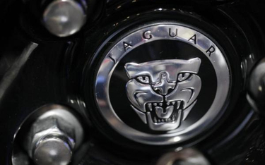 Jaguar LR przyczai się na tydzień po brexicie