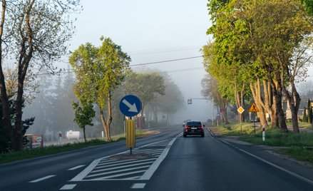 W części kraju wrócą upały, ale rano możliwe lokalne mgły