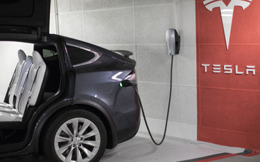 Lishen proponuje Tesli baterie dla Gigafactory