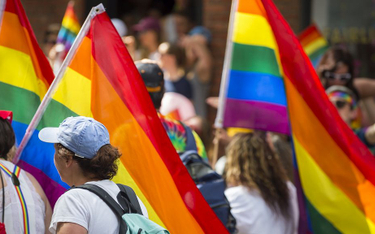 Litwa: Sąd nakazuje wydawać pozwolenia na pobyt małżonkom osób homoseksualnych
