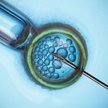 Filip Memches: Kościół broni dzieci z in vitro