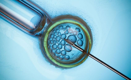Filip Memches: Kościół broni dzieci z in vitro