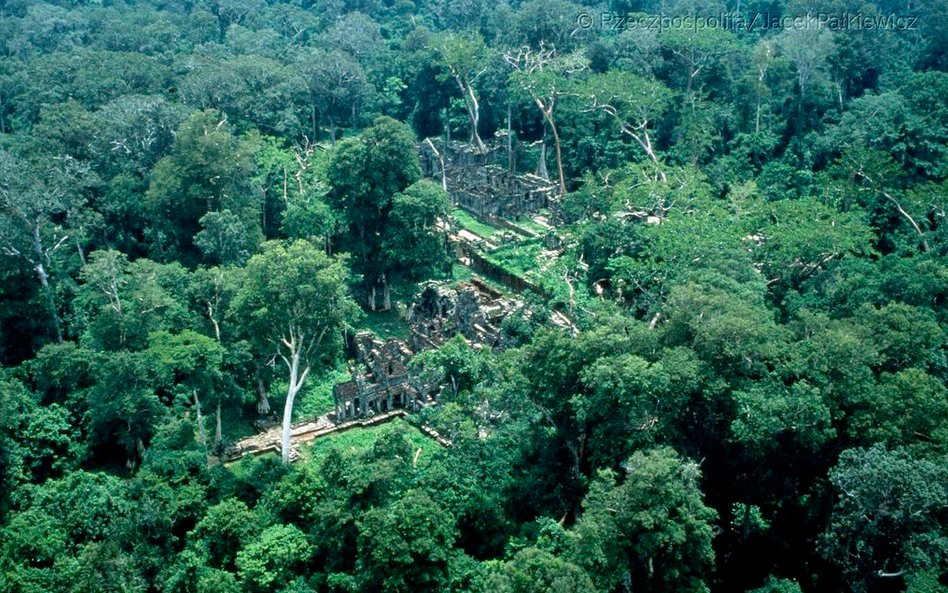 Widok Ta Prohm nie różni się od tego, jaki zastali podróżnicy z końca XIX w.