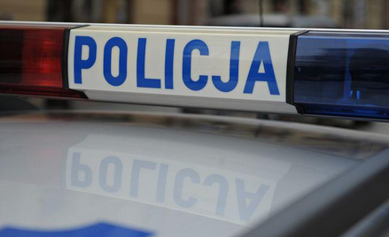 Rawicz: 52-latek udusił dwa psy. Może trafić do więzienia na 5 lat