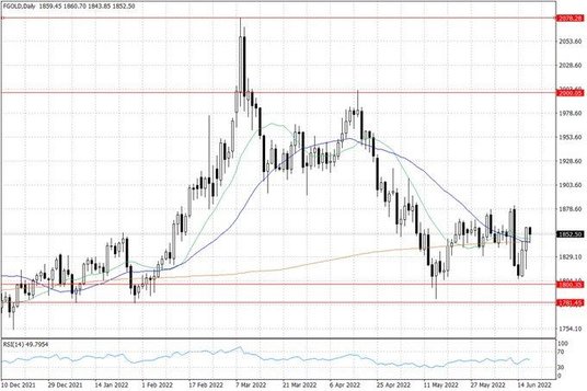 Notowania złota – dane dzienne