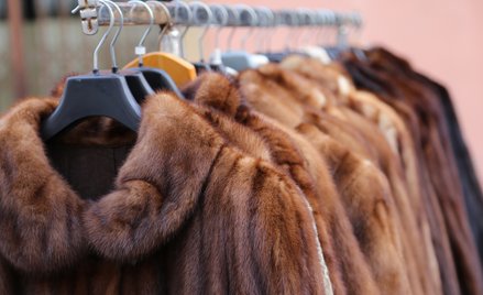 Koniec futrzarskiego biznesu