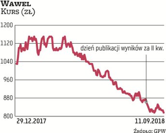 Po bardzo udanym pierwszym kwartale drugi przyniósł spadek przychodów Wawela, co pogrążyło notowania