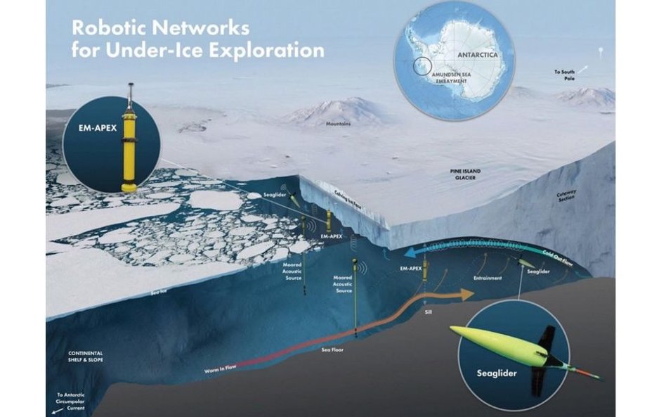 Roboty zbadają lodowce szelfowe Antarktyki