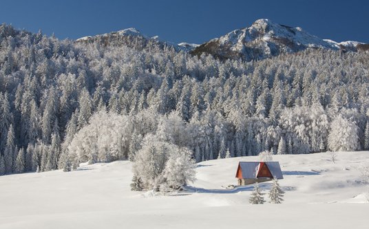 Park Narodowy Risnjak, Japetova Šegina ©CNTB Zoran Jelača