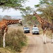 Kenia przygotowuje się do wprowadzenia obowiązkowego ubezpieczenia zdrowotnego dla zagranicznych tur
