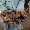 Fortum zastąpiło gaz biomasą