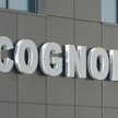 Cognor: Przychody w górę, ale marże nadal pod presją