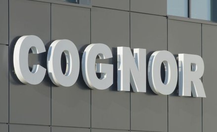 Cognor: Przychody w górę, ale marże nadal pod presją