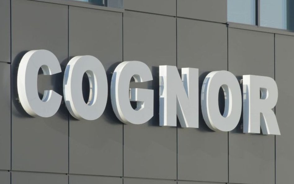 Cognor: Przychody w górę, ale marże nadal pod presją