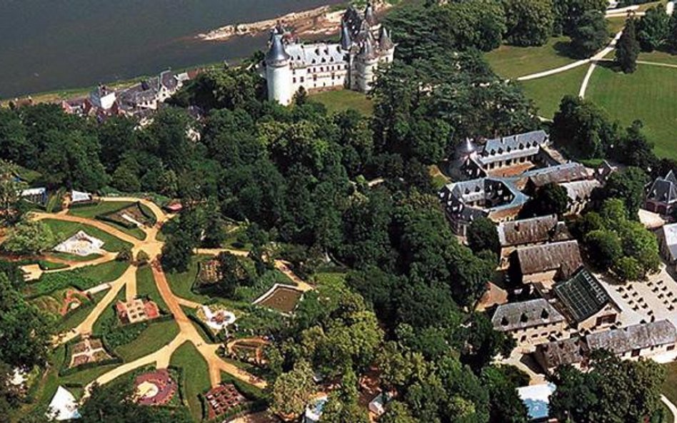 Festiwal sadzenia kwiatów i dzielenia się cieniem