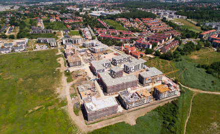 Deweloperzy podsumowują i prognozują